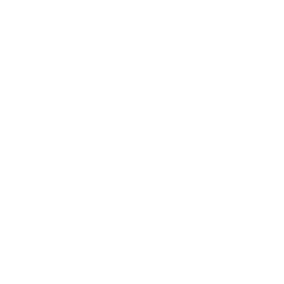 Logo partnera: PKO BP